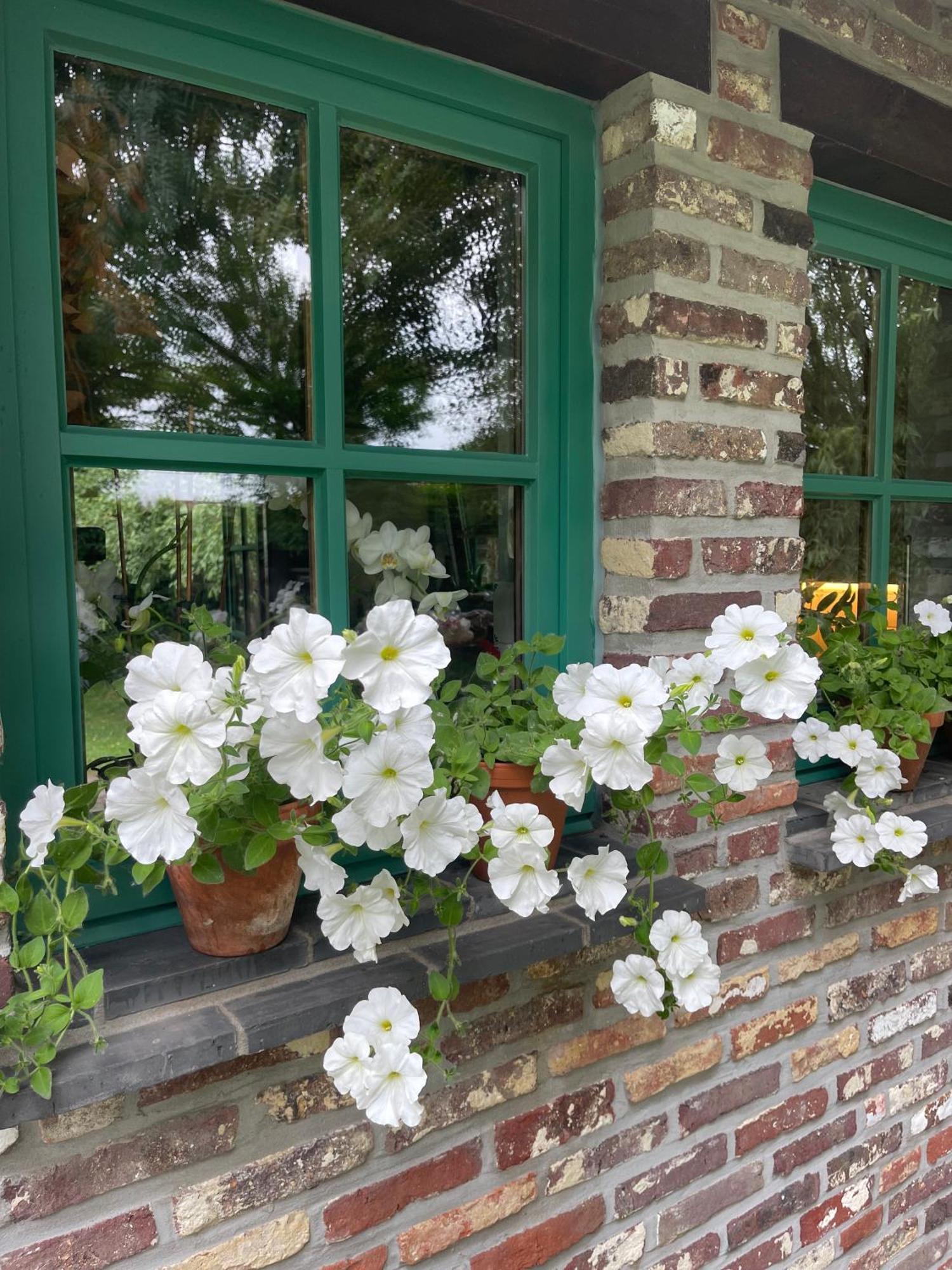 Ma Campagne Bed & Breakfast Heusden Eksteriør bilde